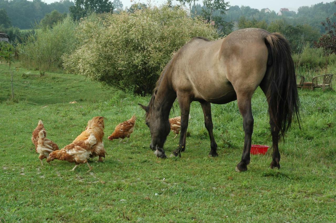 Wodne Ogrody Villa Dobczyce Bagian luar foto