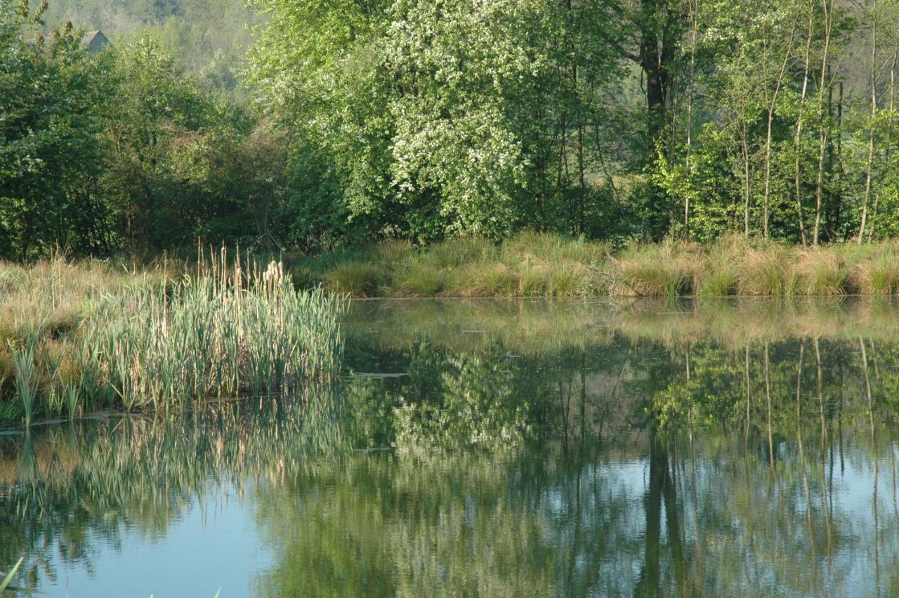 Wodne Ogrody Villa Dobczyce Bagian luar foto