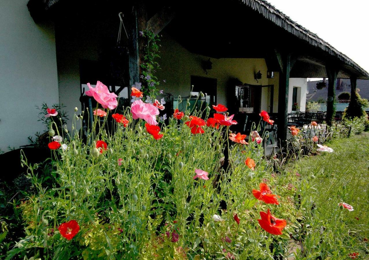 Wodne Ogrody Villa Dobczyce Bagian luar foto
