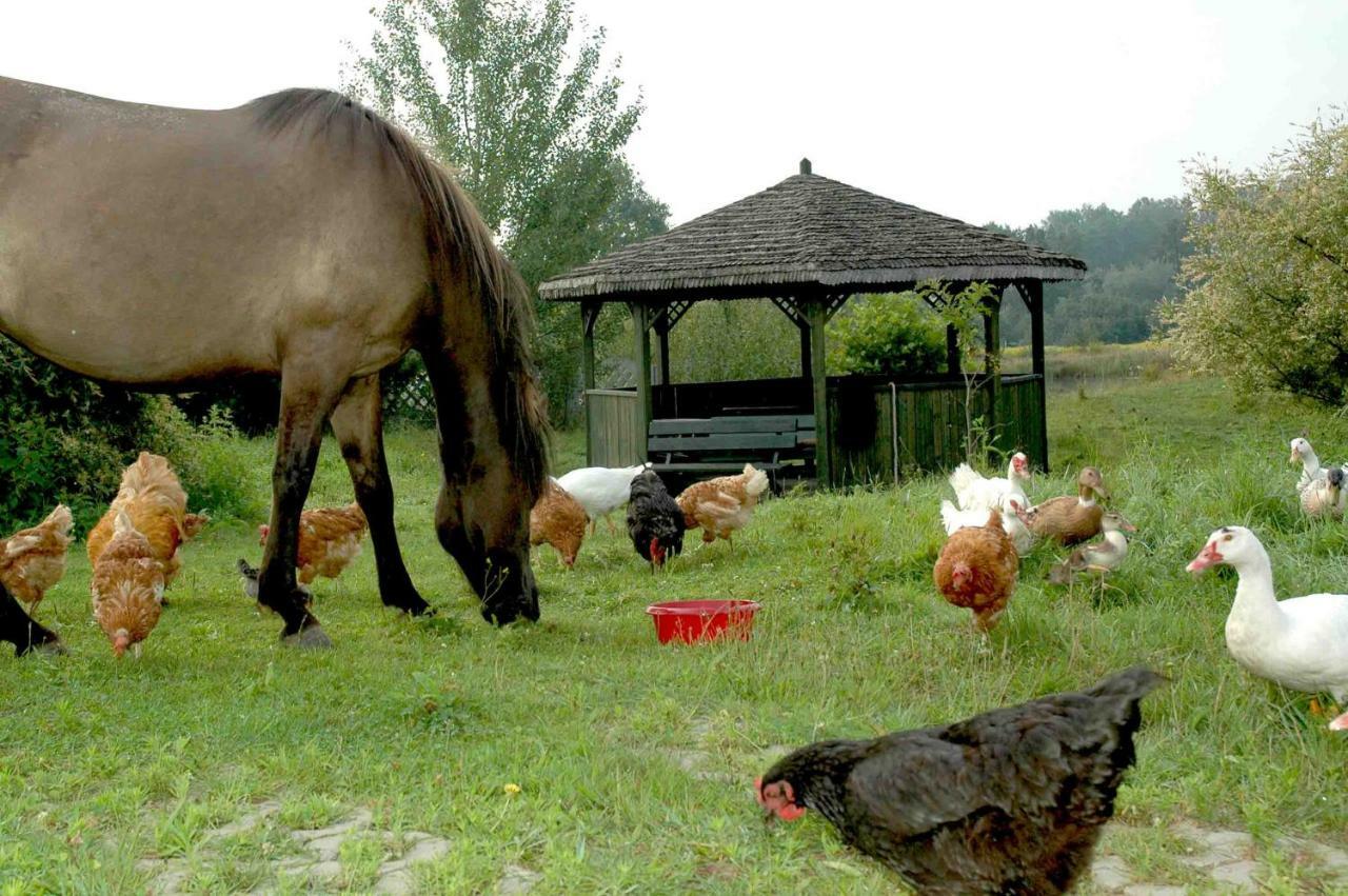 Wodne Ogrody Villa Dobczyce Bagian luar foto