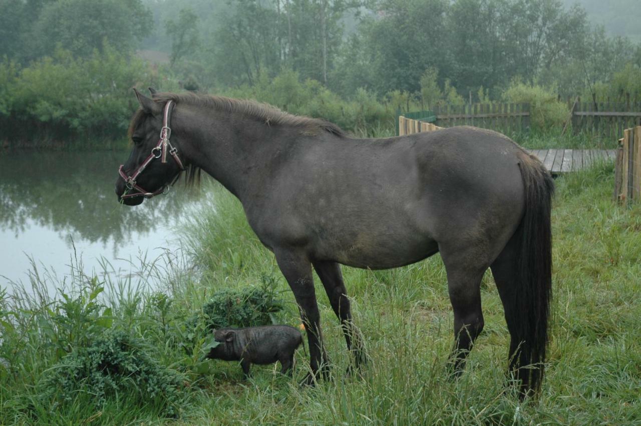 Wodne Ogrody Villa Dobczyce Bagian luar foto